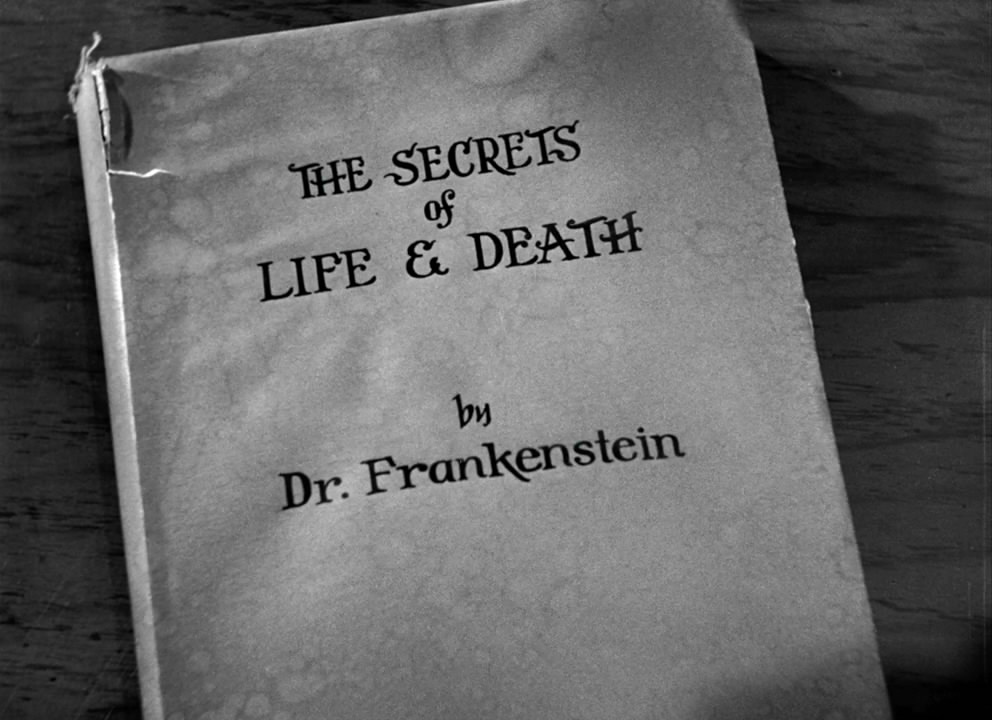 两傻大战科学怪人剧照的剧照