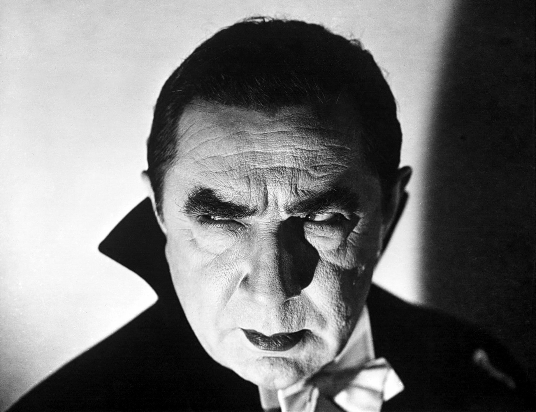 两傻大战科学怪人剧照的剧照