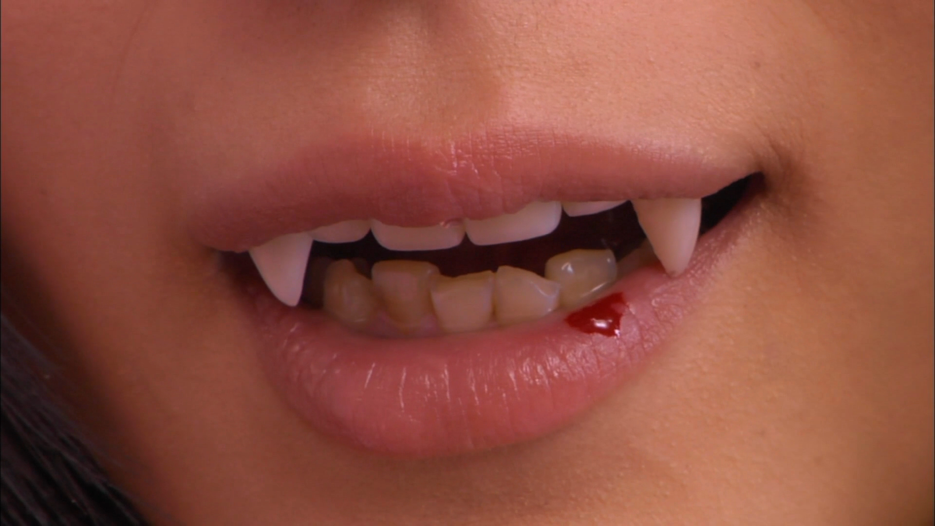 吸血少女大战再生萝莉剧照的剧照