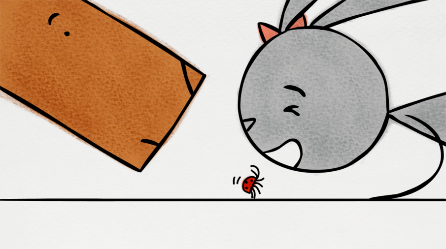 兔子和鹿剧照的剧照