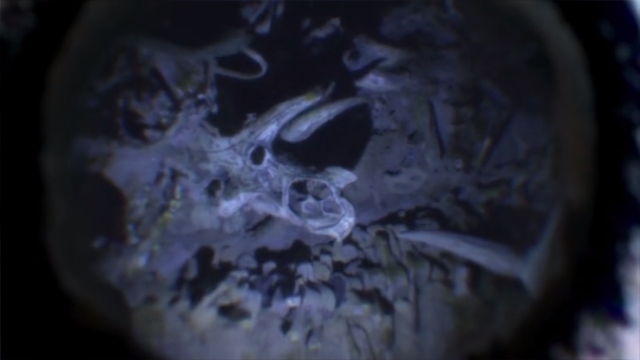 疯神剧照的剧照