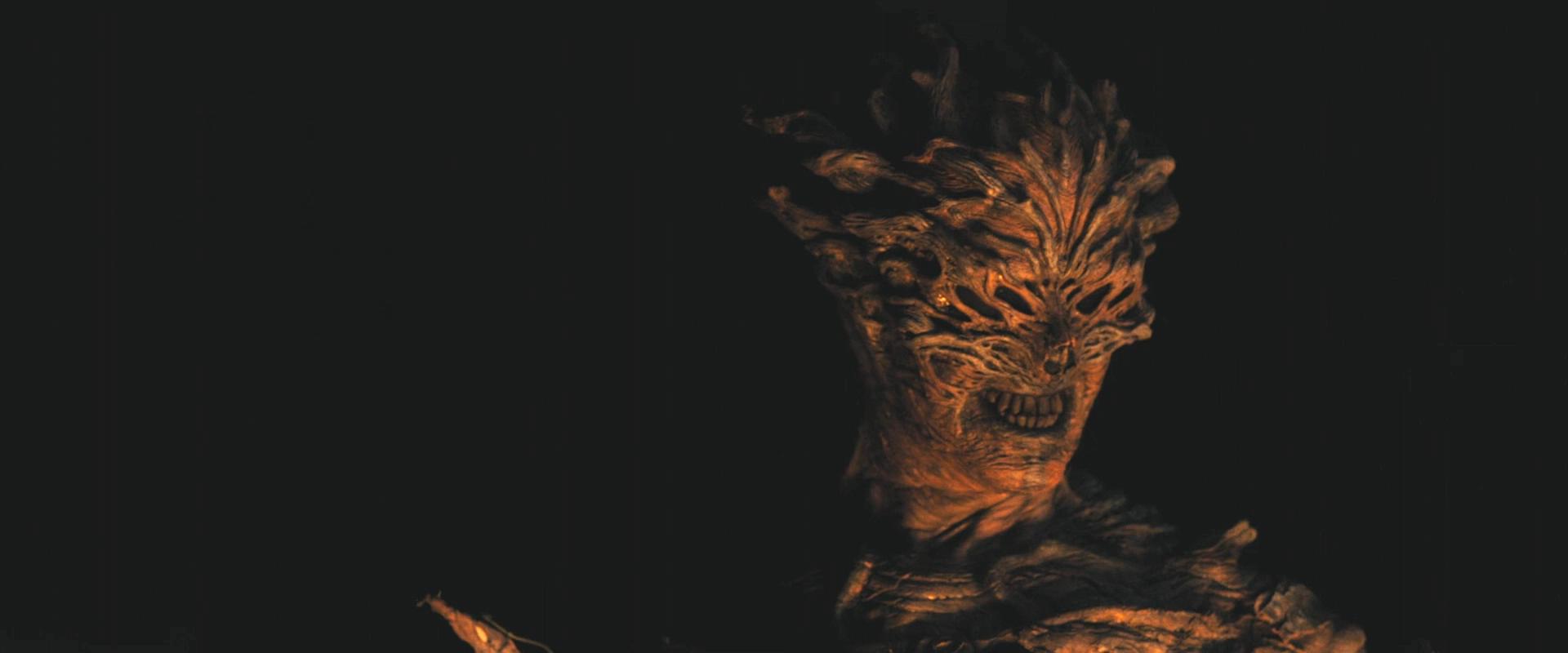 养老庄园剧照的剧照