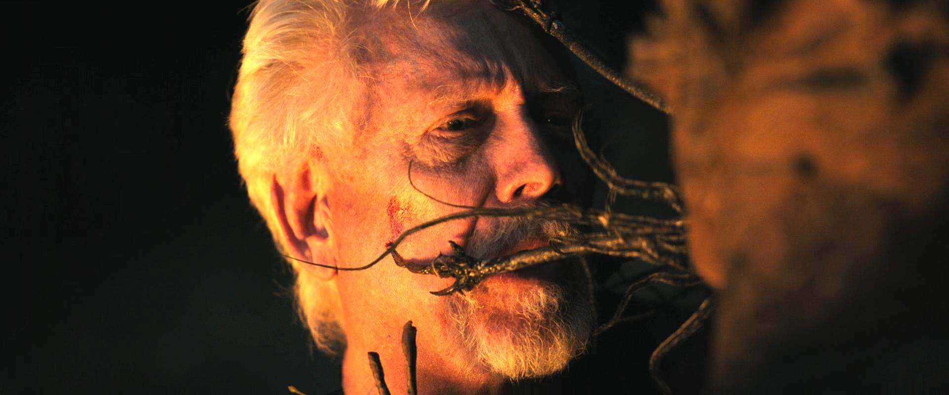 养老庄园剧照的剧照