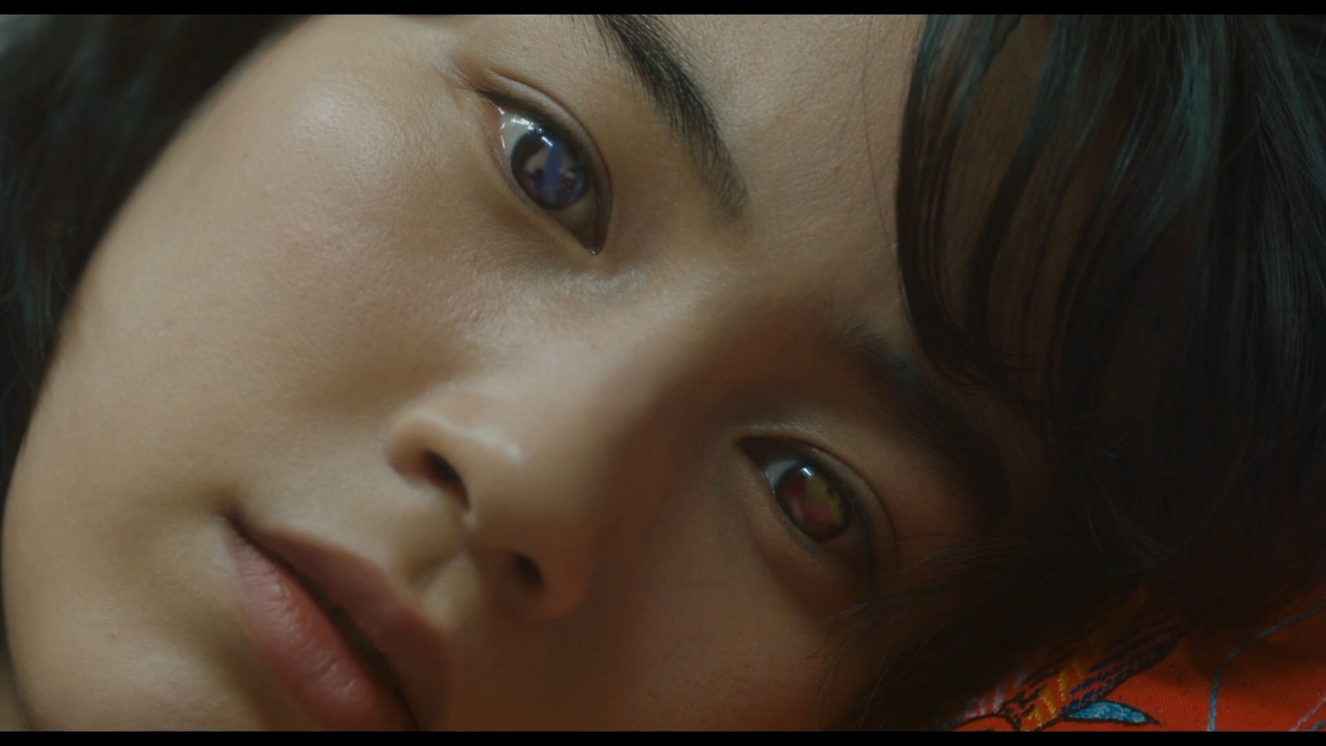 蝴蝶结剧照的剧照