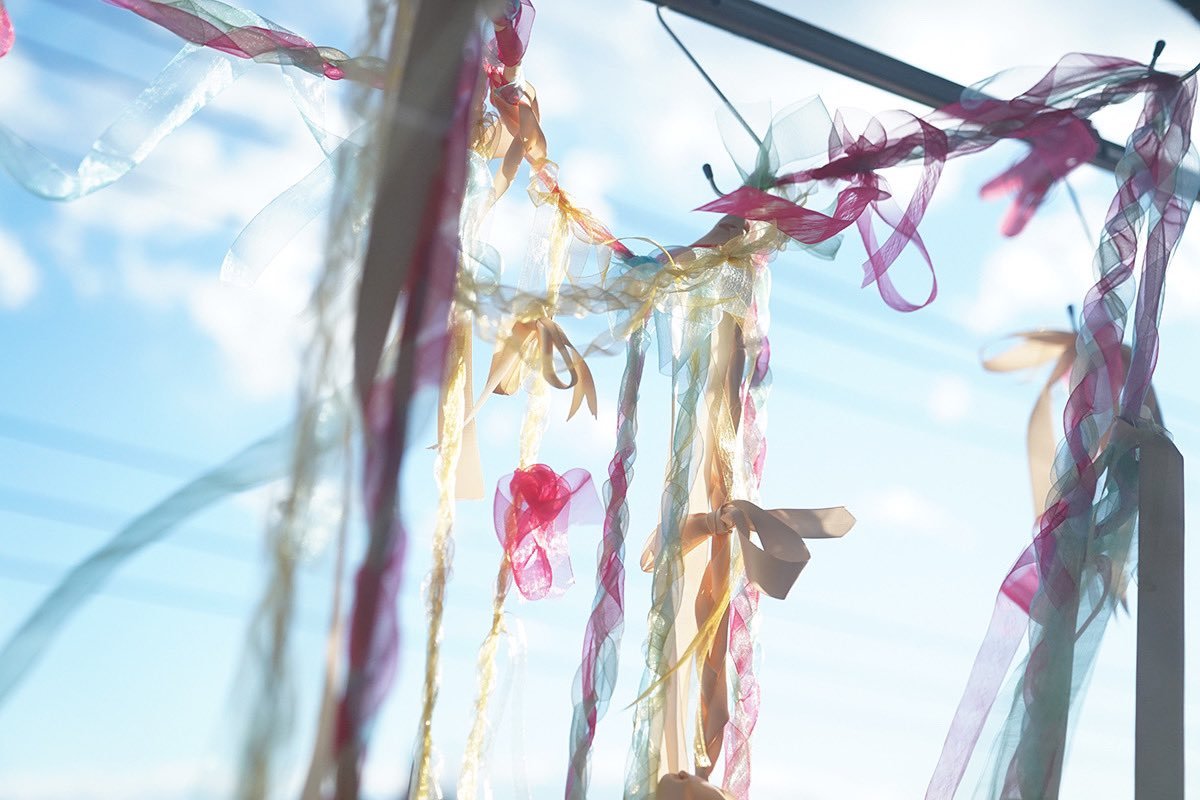 蝴蝶结剧照的剧照