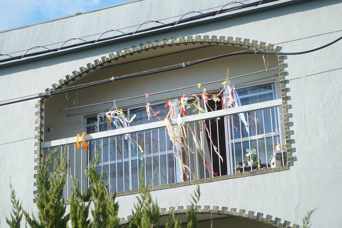 蝴蝶结剧照的剧照