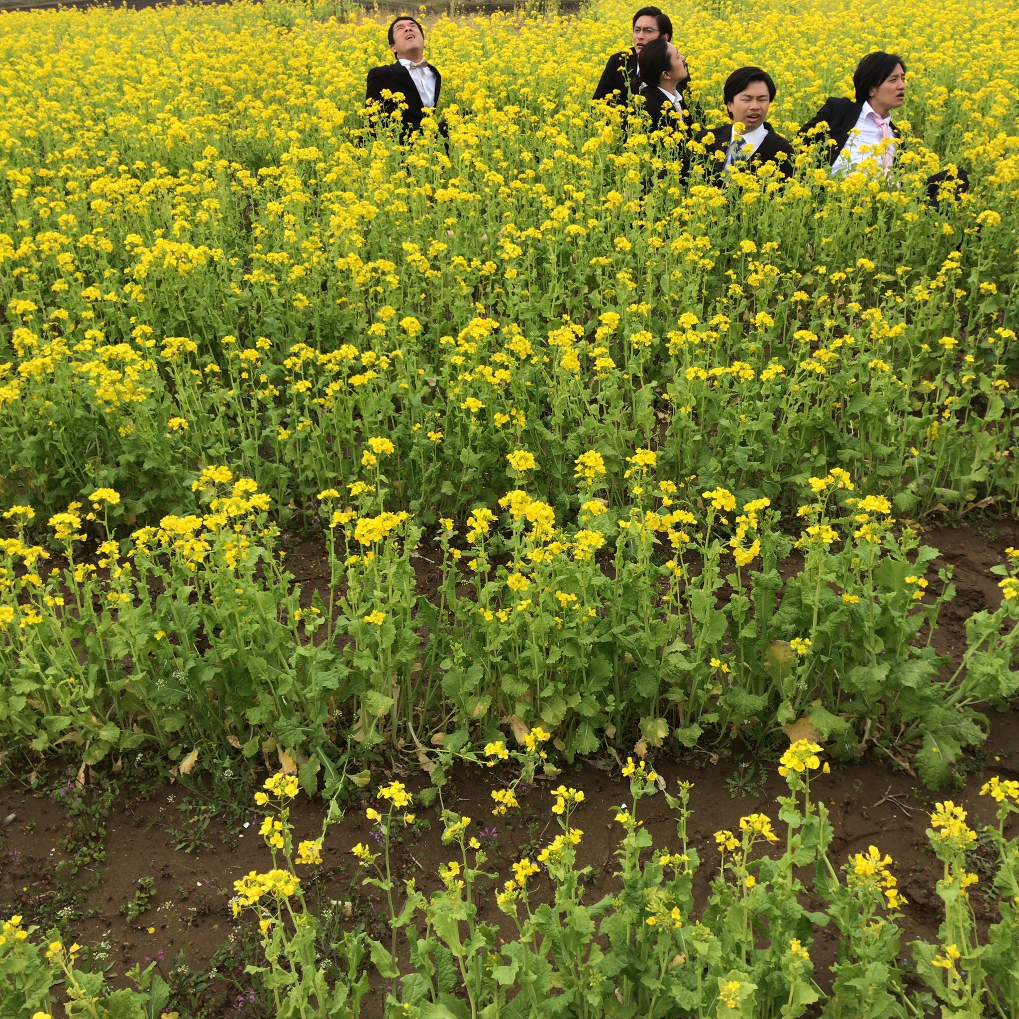 日暮将暮剧照的剧照