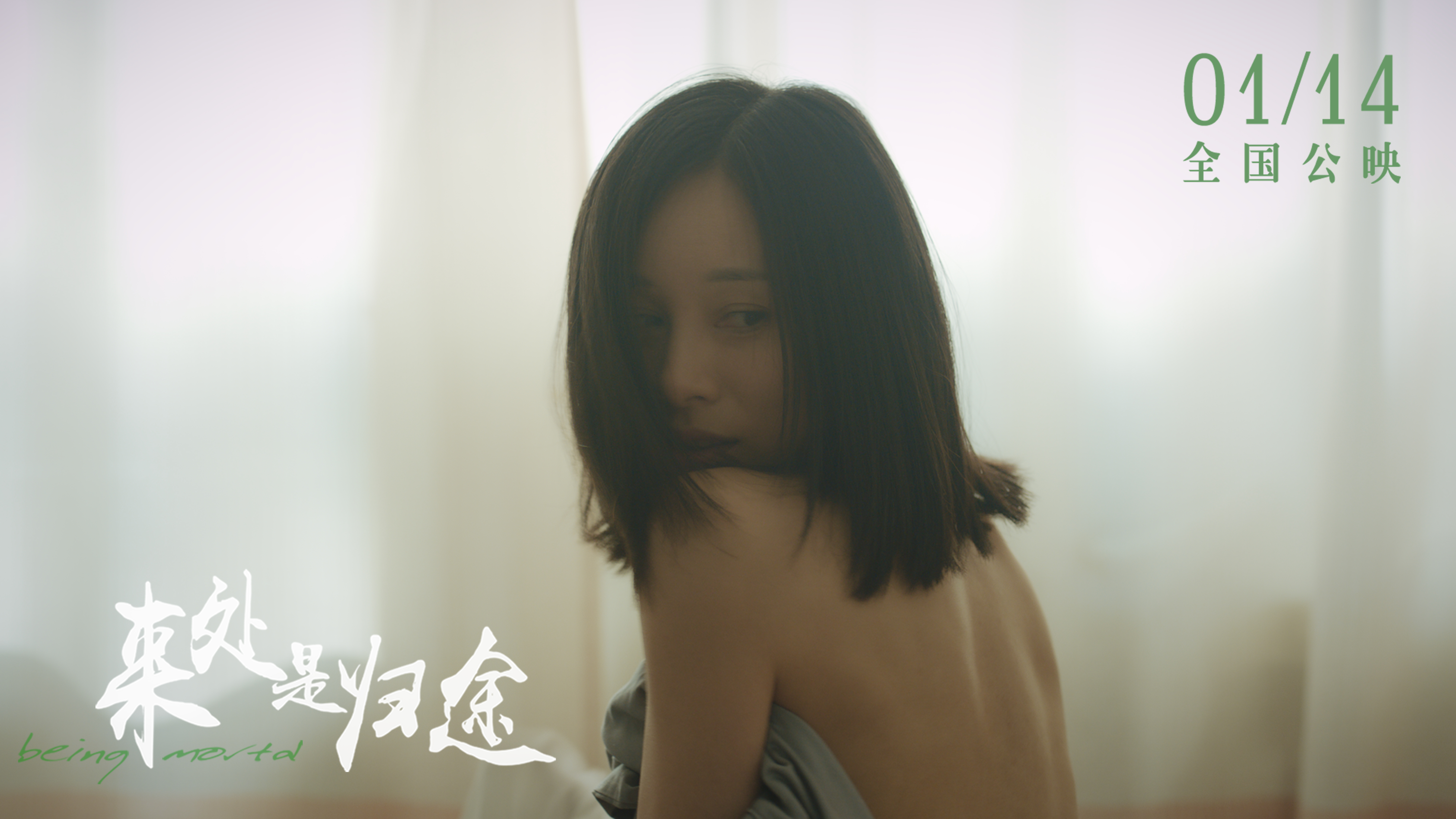 来处是归途剧照的剧照