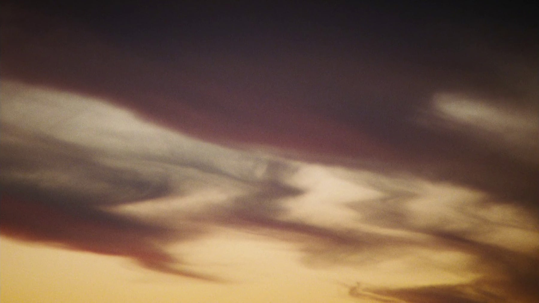 荒漠沙海剧照的剧照