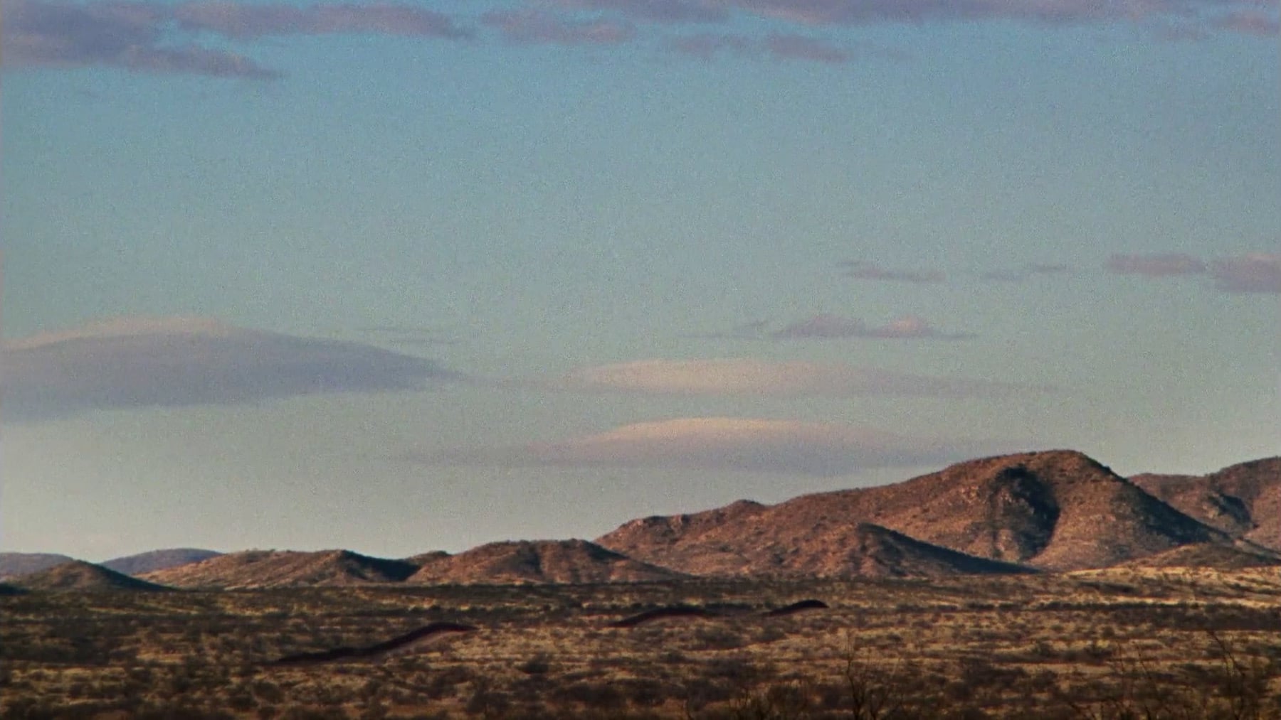 荒漠沙海剧照的剧照