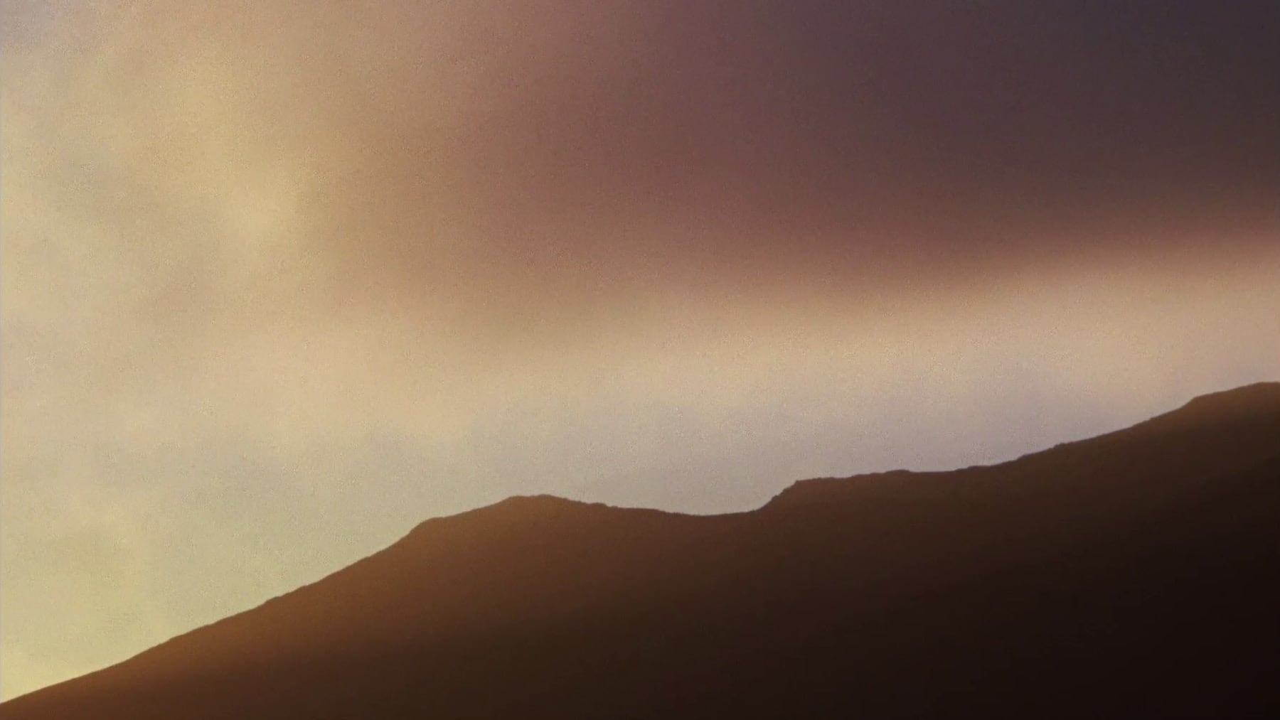 荒漠沙海剧照的剧照