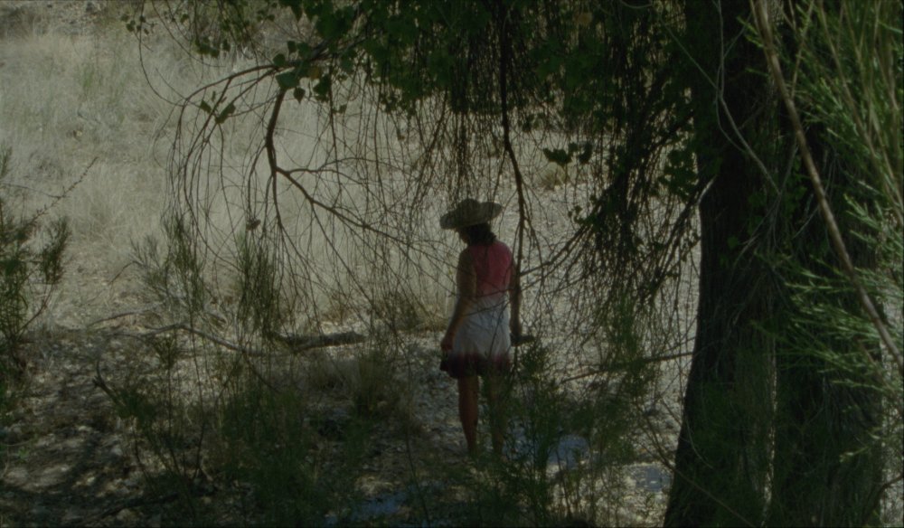 荒漠沙海剧照的剧照