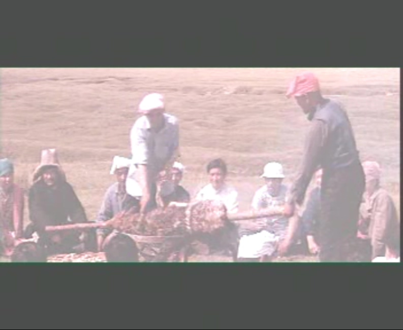 荒漠人剧照的剧照