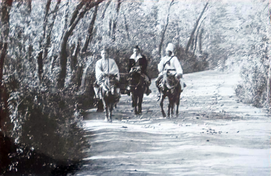 大漠紫禁令剧照的剧照