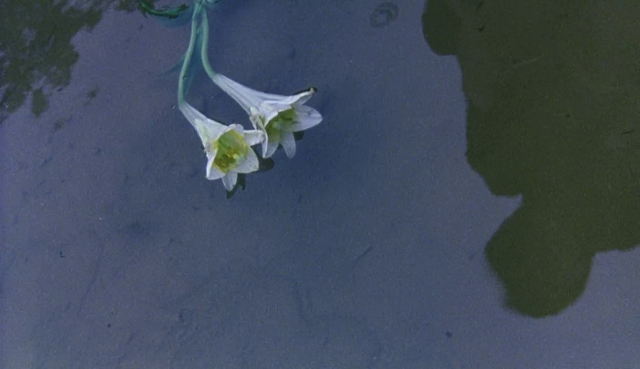 距离剧照的剧照