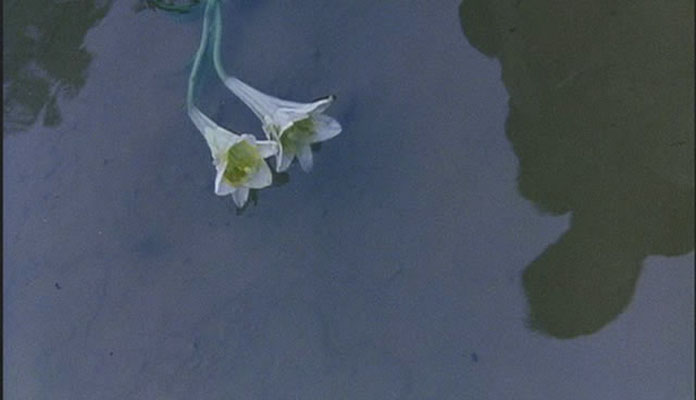 距离剧照的剧照