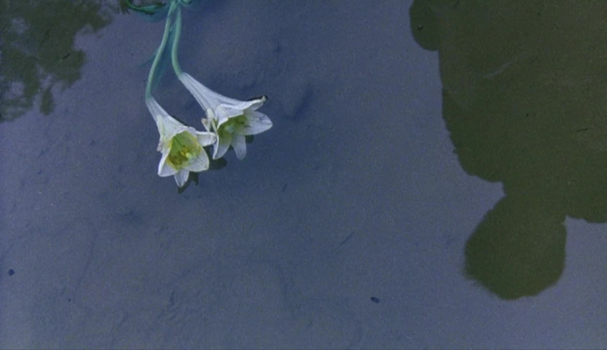 距离剧照的剧照