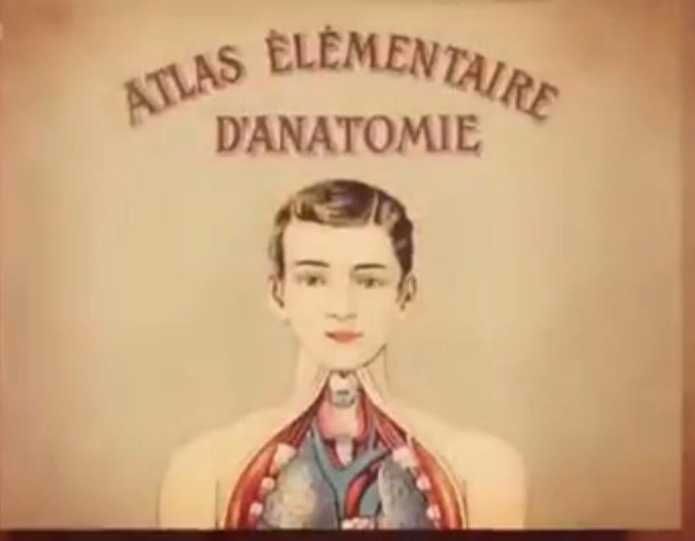 超级维纳斯剧照的剧照