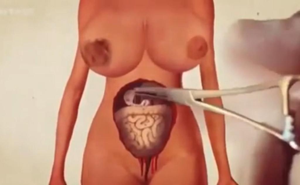 超级维纳斯剧照的剧照