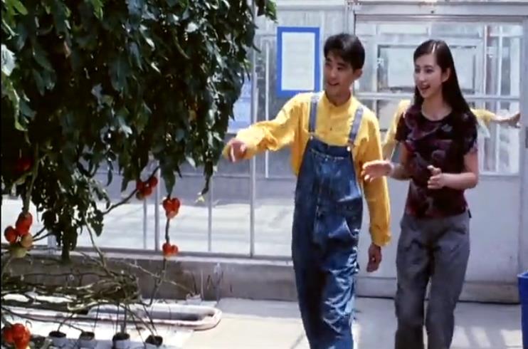 绿色柔情剧照的剧照