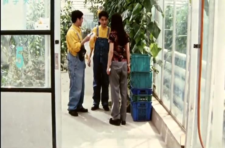 绿色柔情剧照的剧照