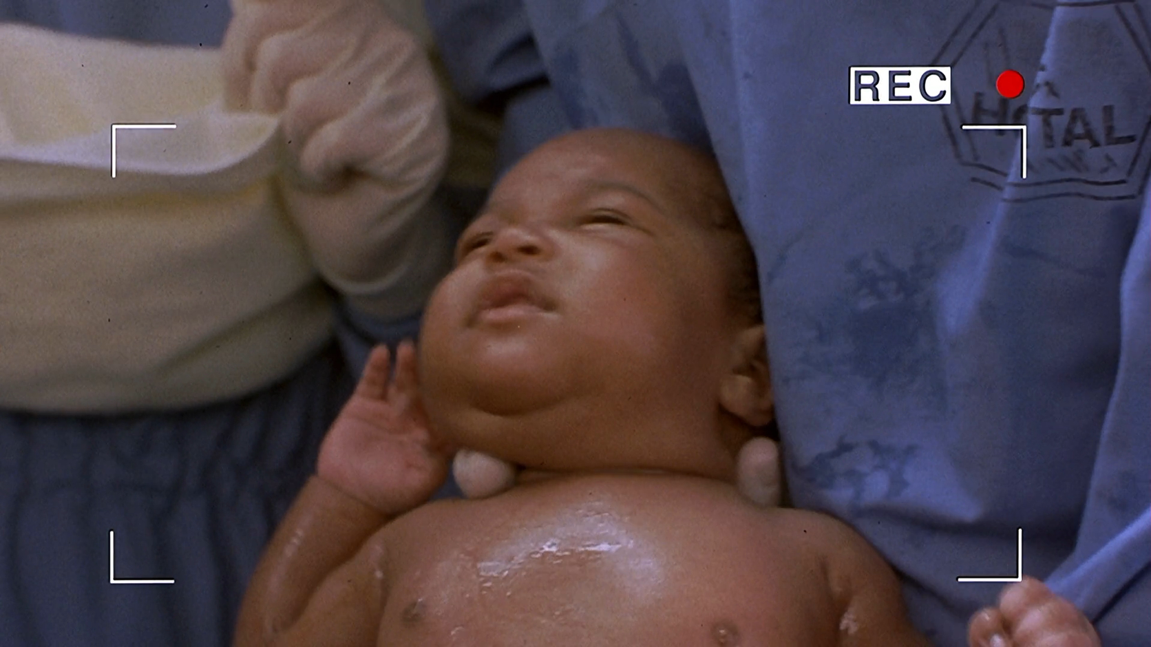 白头神探3剧照的剧照