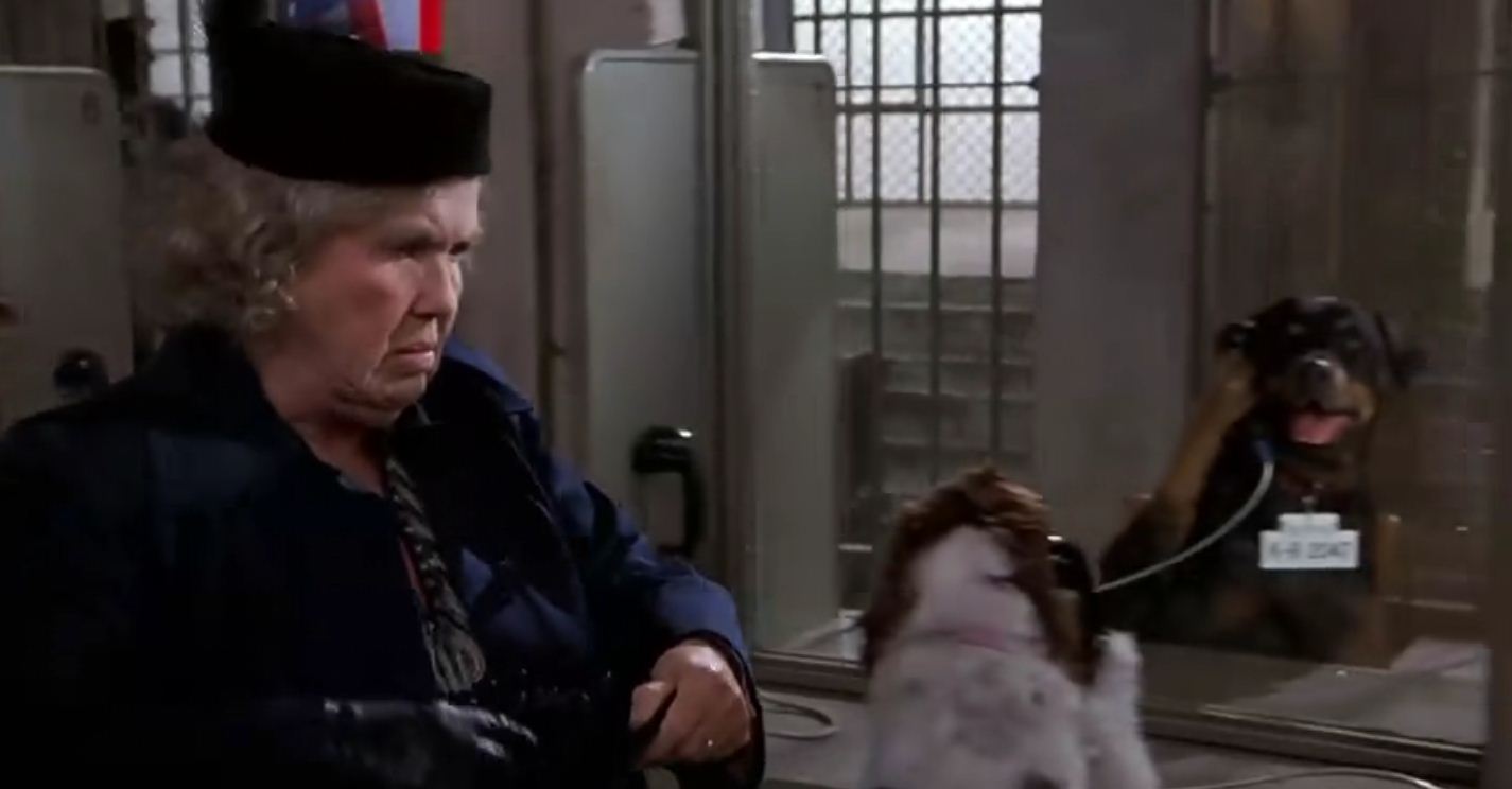 白头神探3剧照的剧照