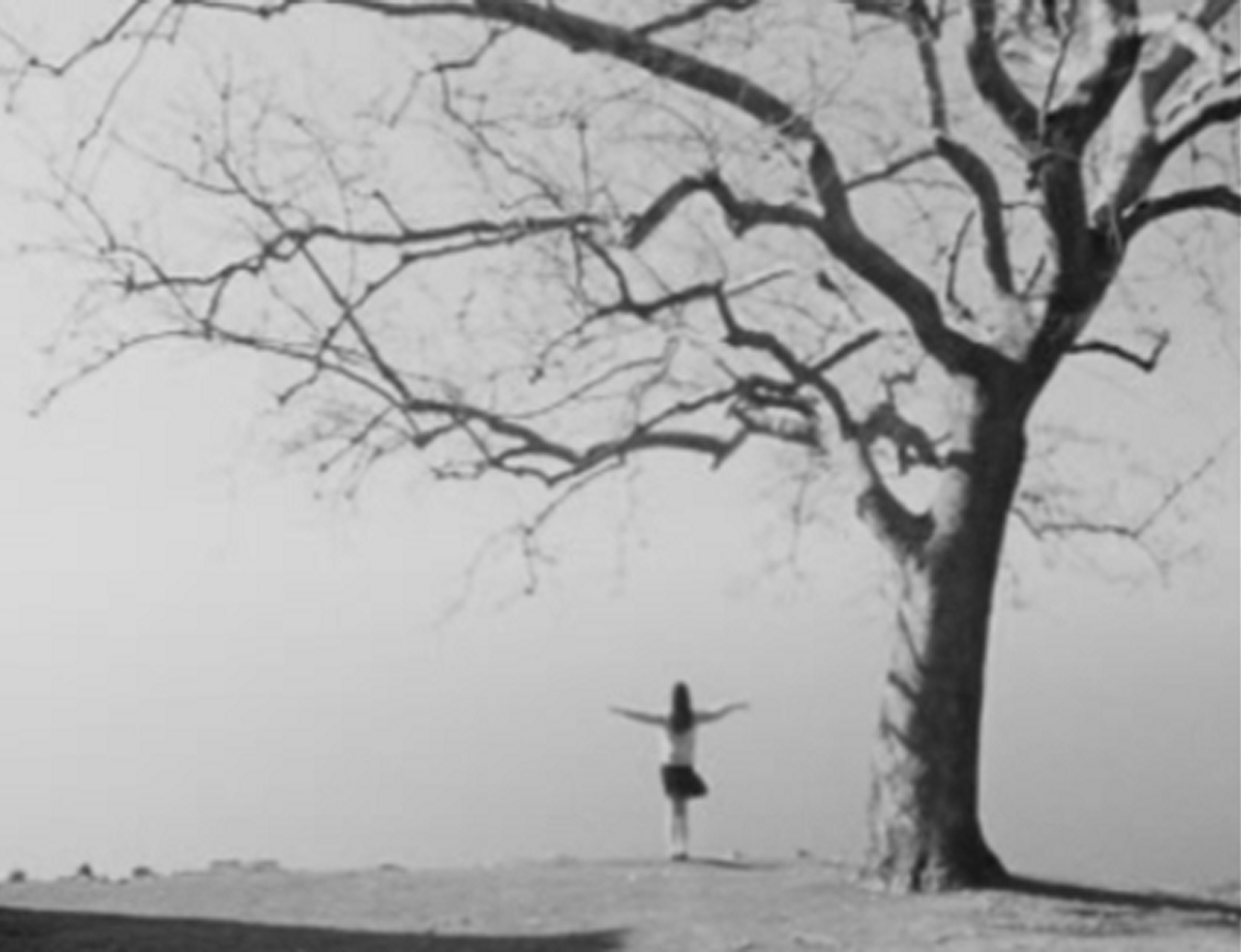 哦，月亮剧照的剧照