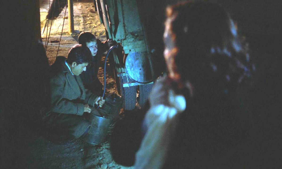 万岁 卡美拉剧照的剧照