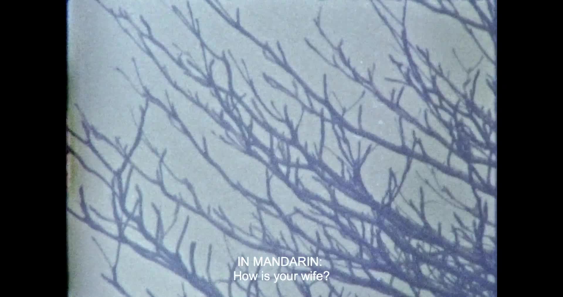 马库塔爱的精神守护者剧照的剧照