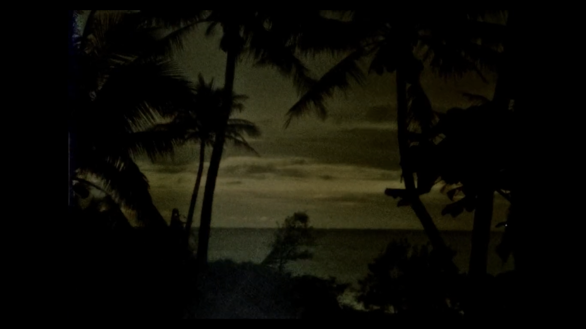 马库塔爱的精神守护者剧照的剧照