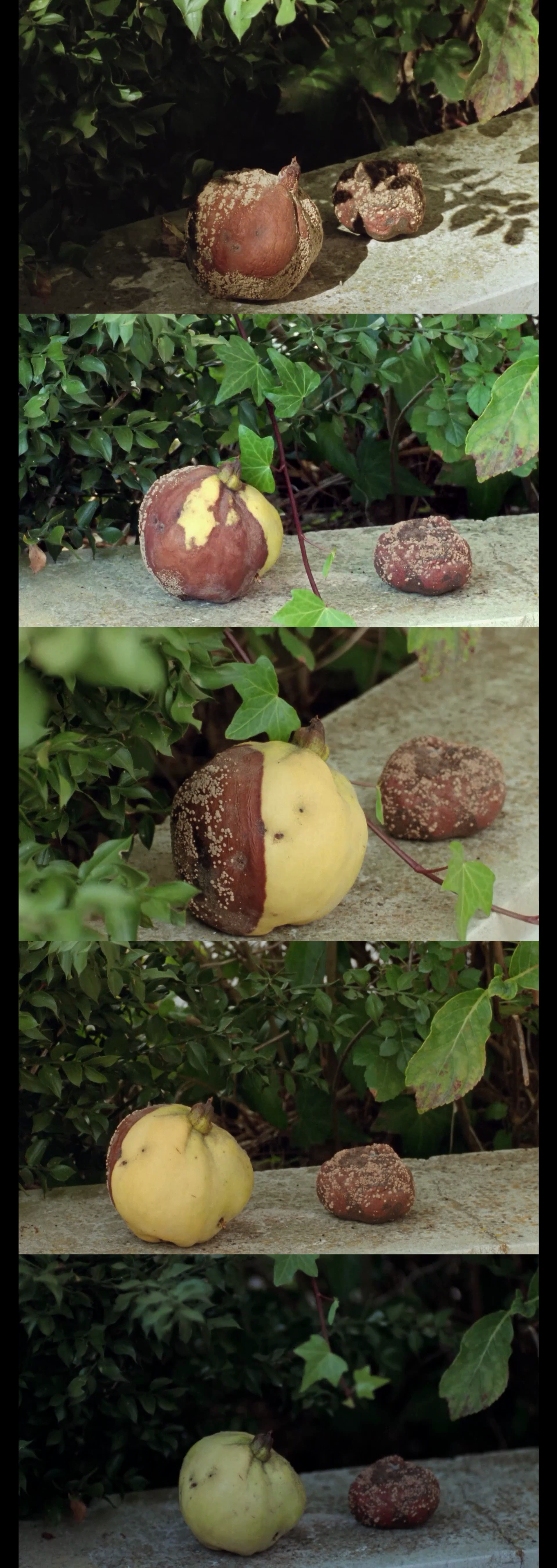 月八日记剧照的剧照