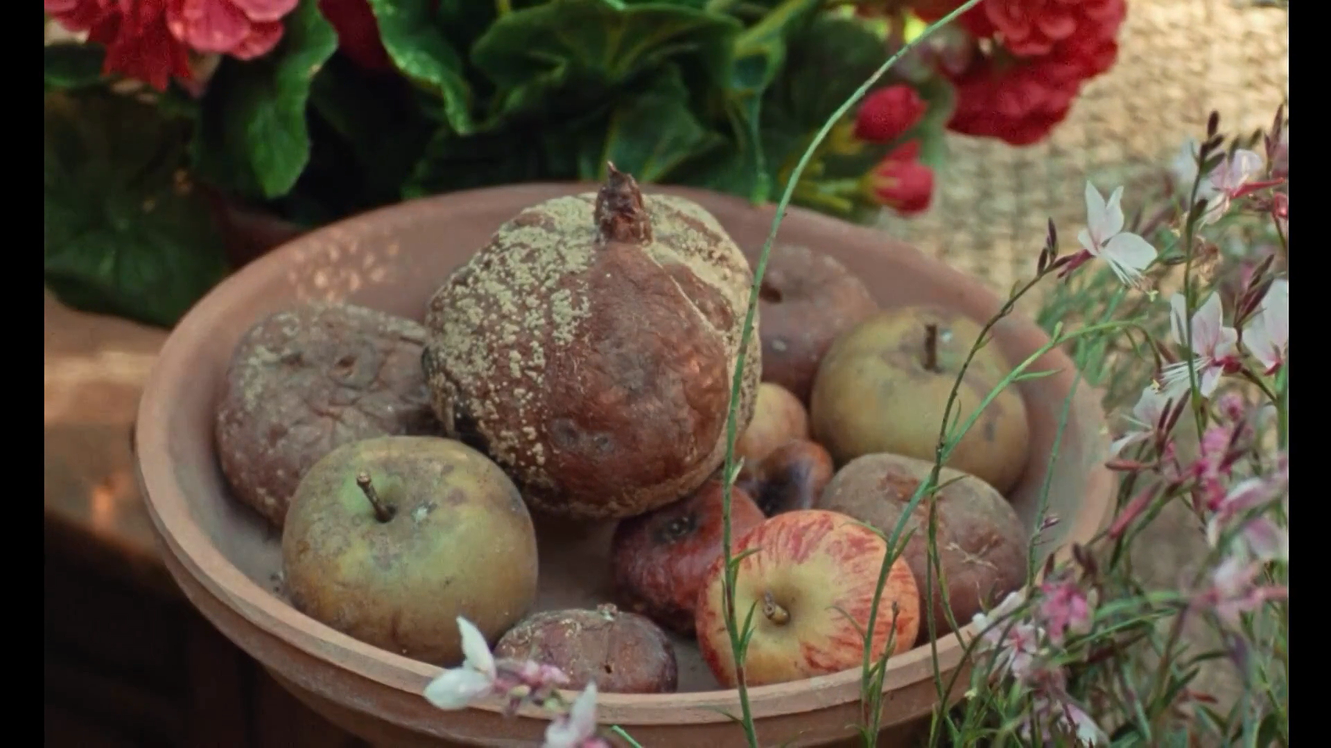 月八日记剧照的剧照