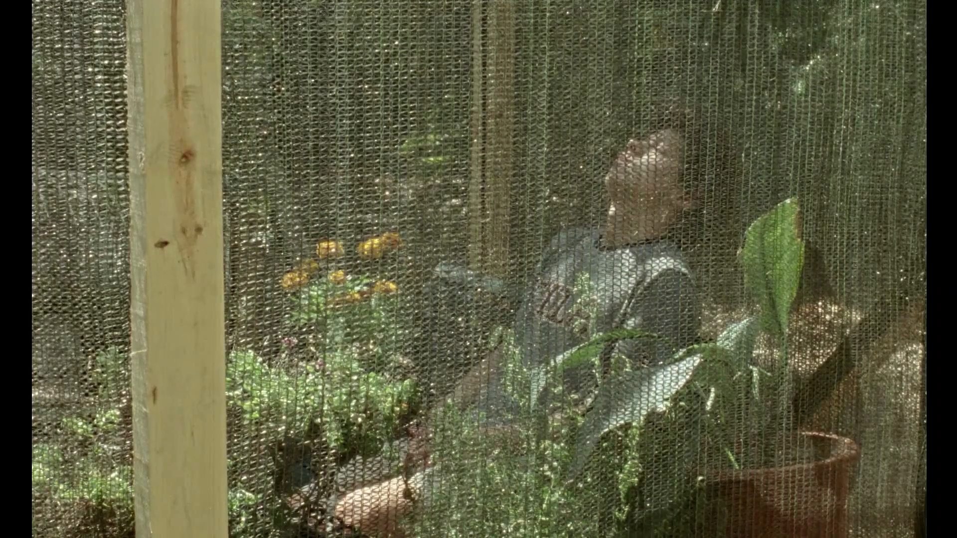 月八日记剧照的剧照