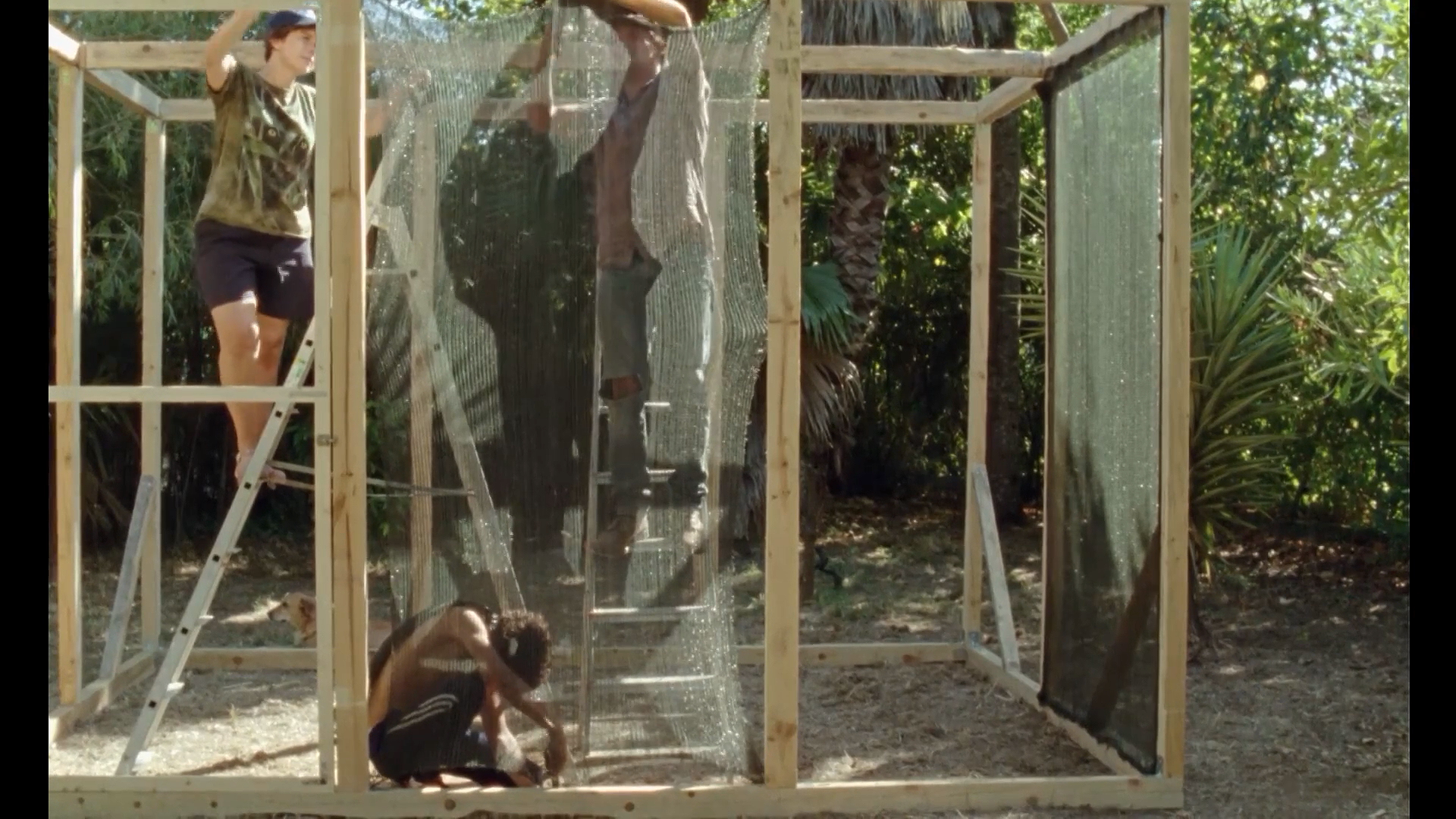 月八日记剧照的剧照