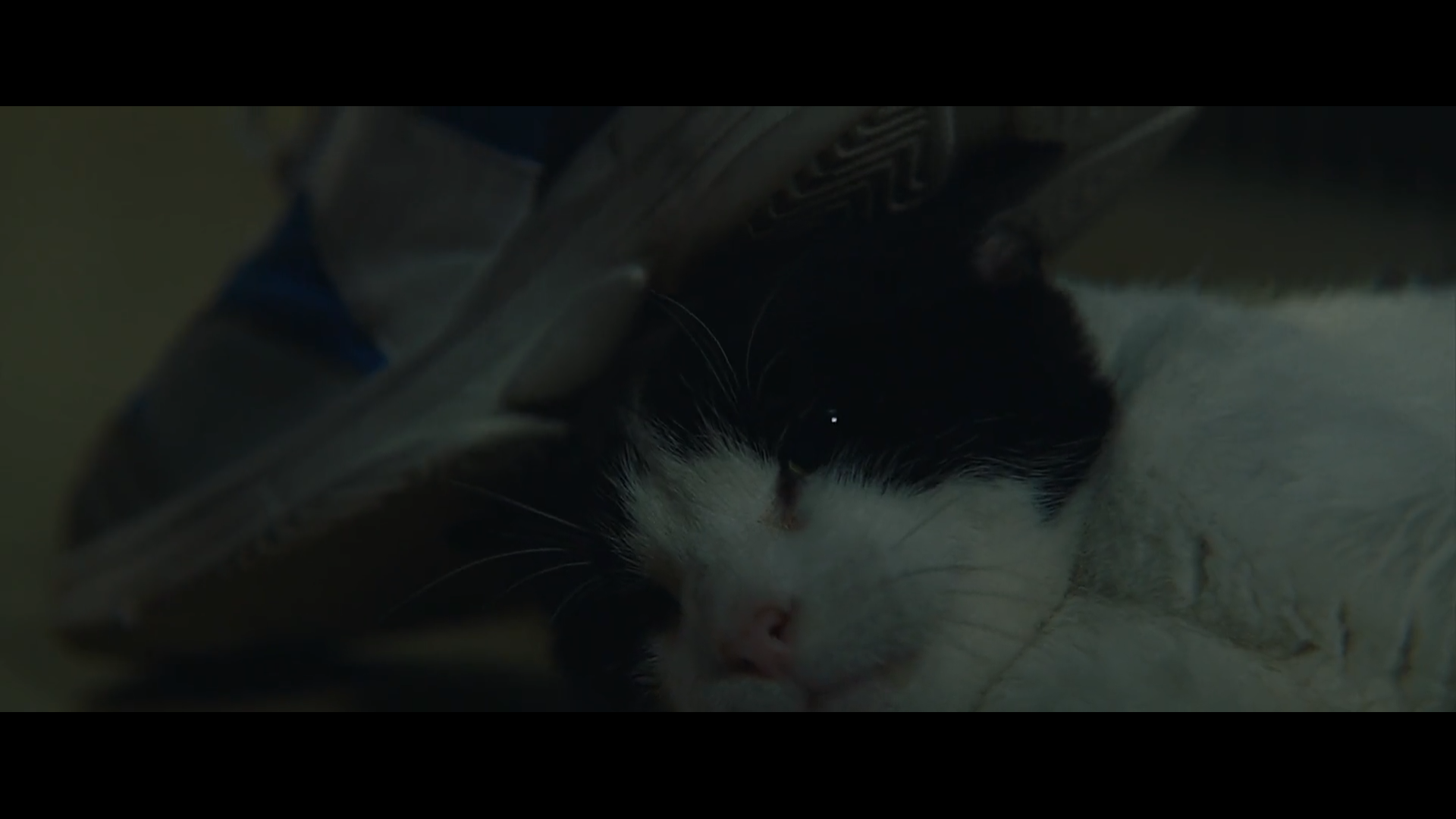 无辜者剧照的剧照