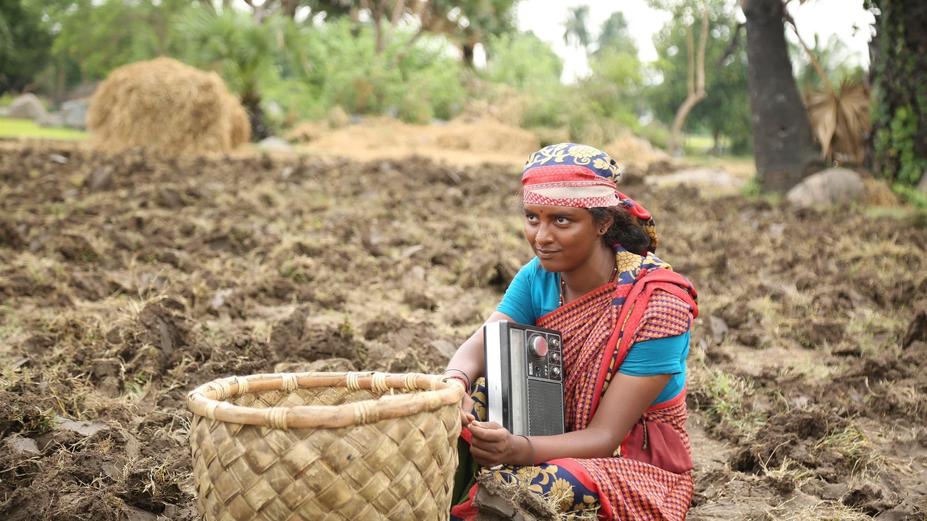 杰伊·比姆剧照的剧照