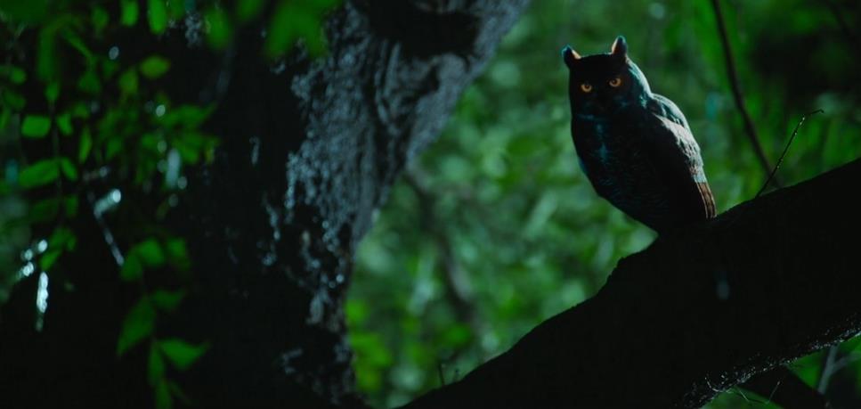 杰伊·比姆剧照的剧照