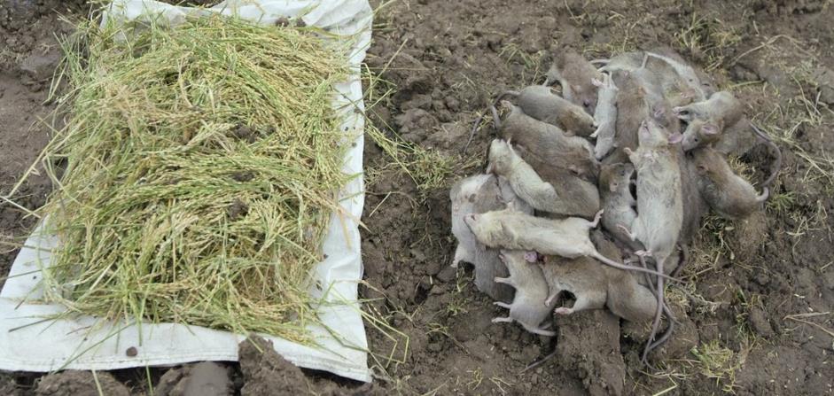 杰伊·比姆剧照的剧照