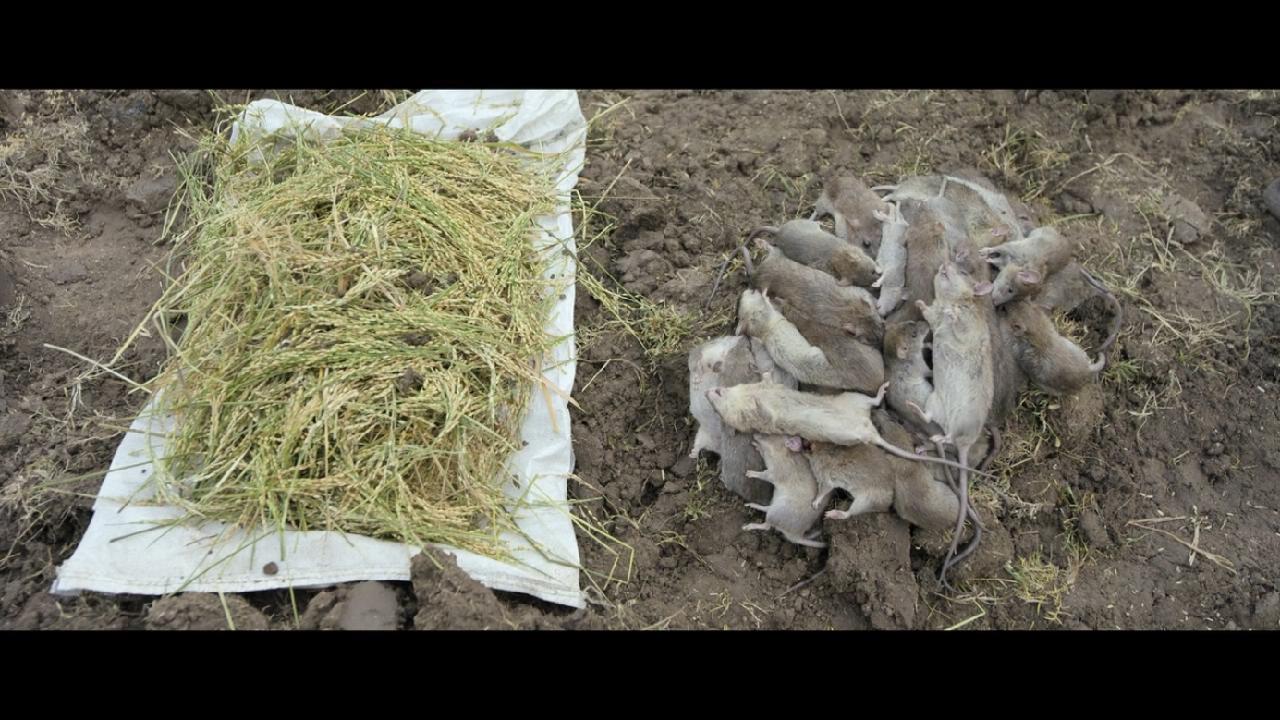 杰伊·比姆剧照的剧照