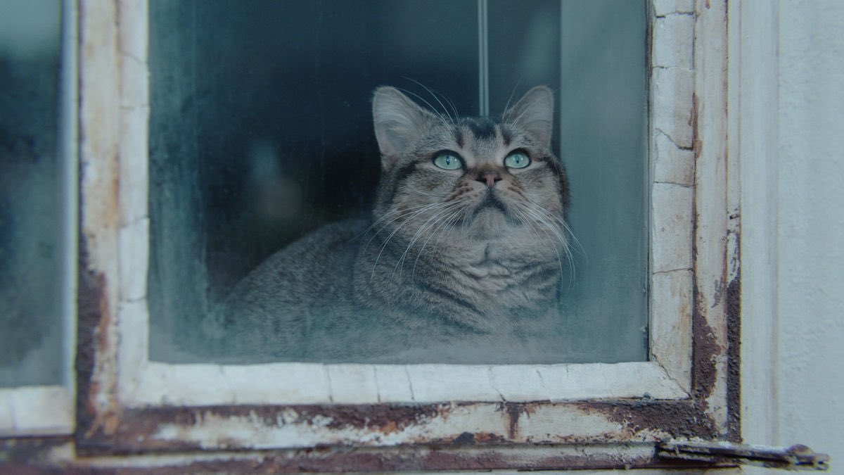 进入盛夏之门剧照的剧照