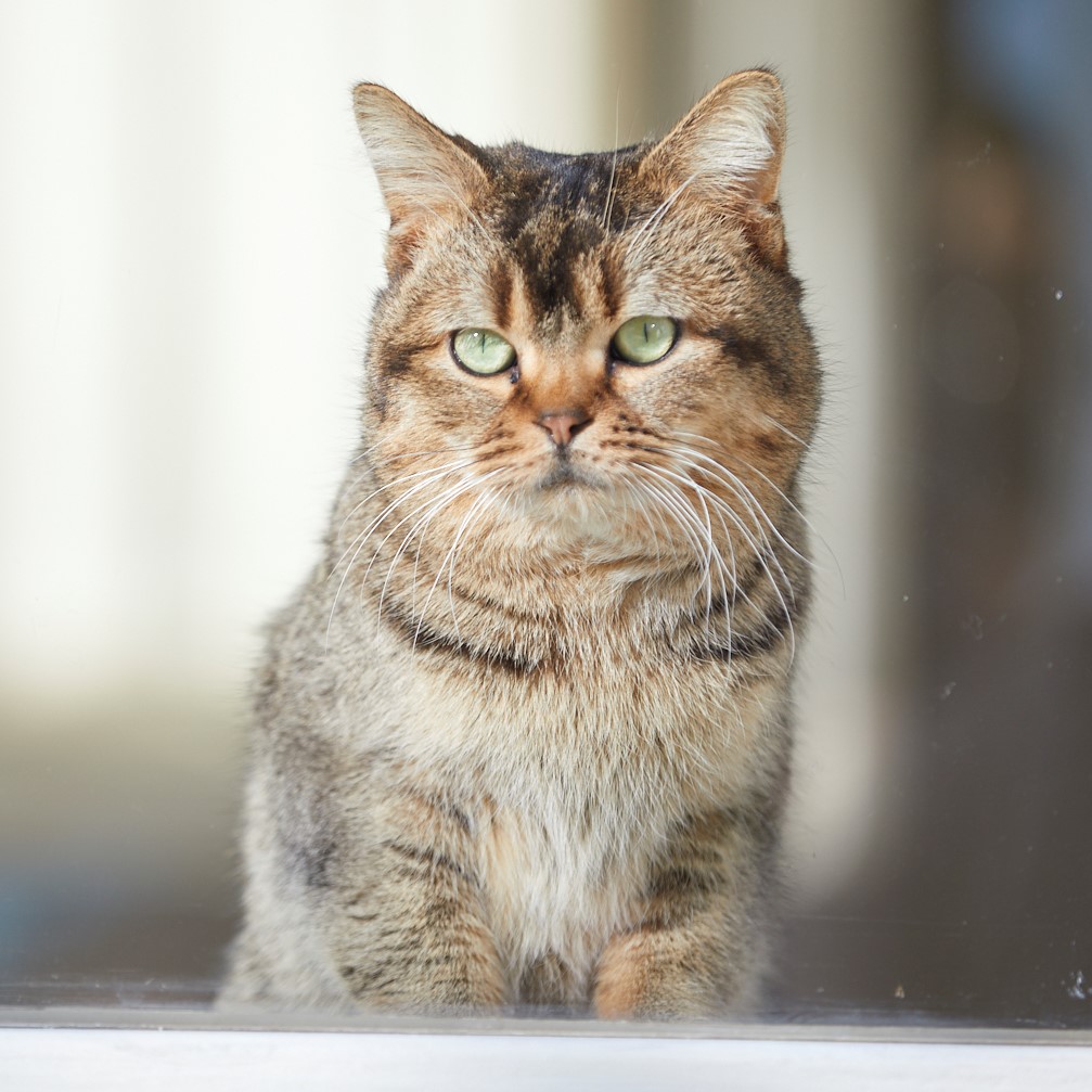 进入盛夏之门剧照的剧照