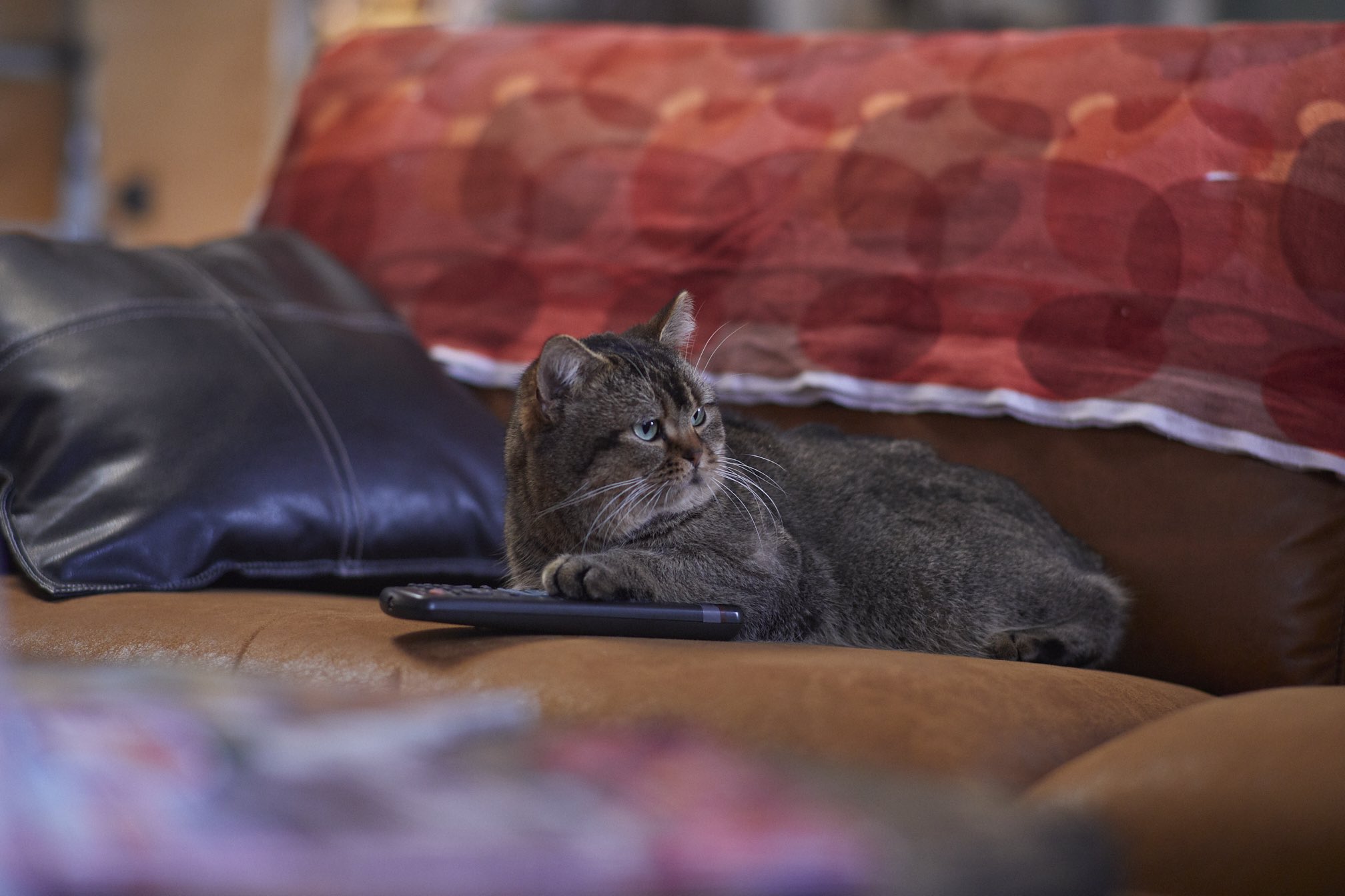 进入盛夏之门剧照的剧照