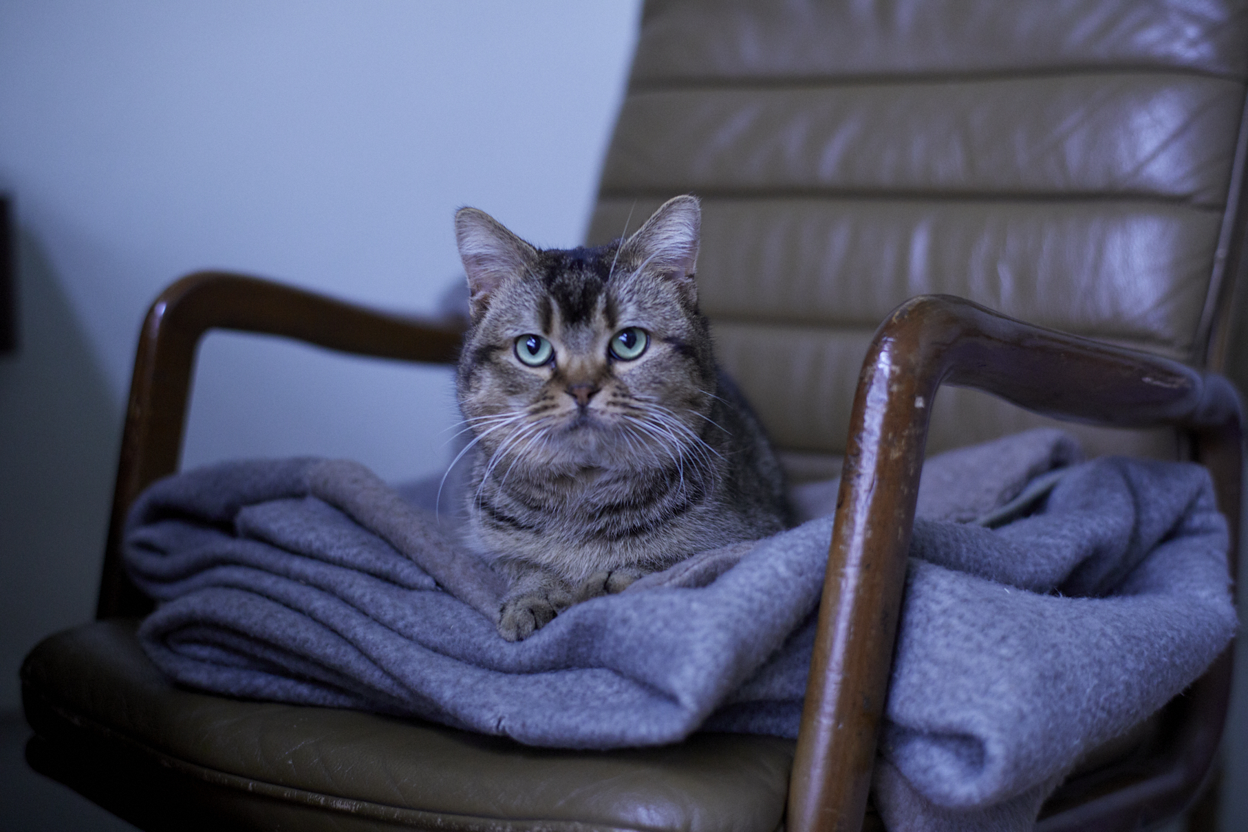 进入盛夏之门剧照的剧照