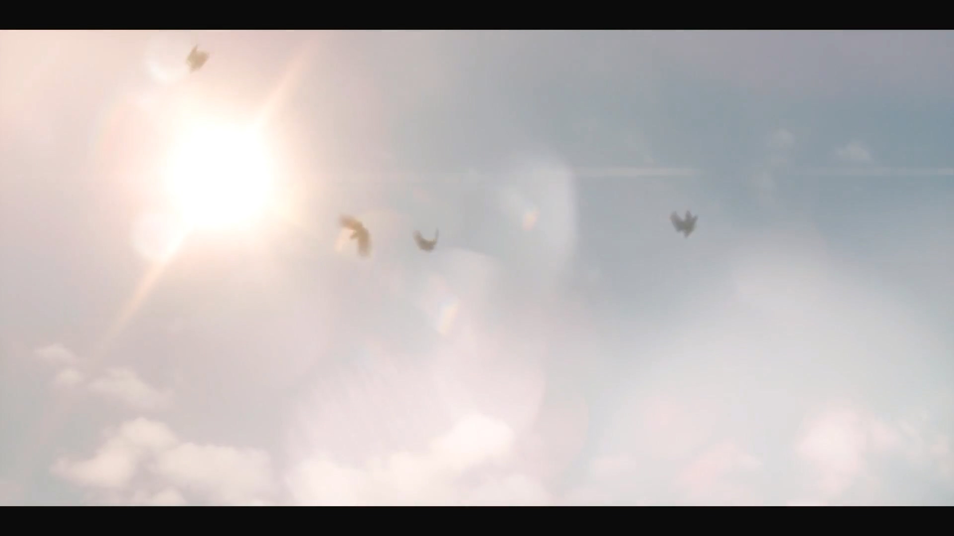 粘在一起的隔离剧照的剧照