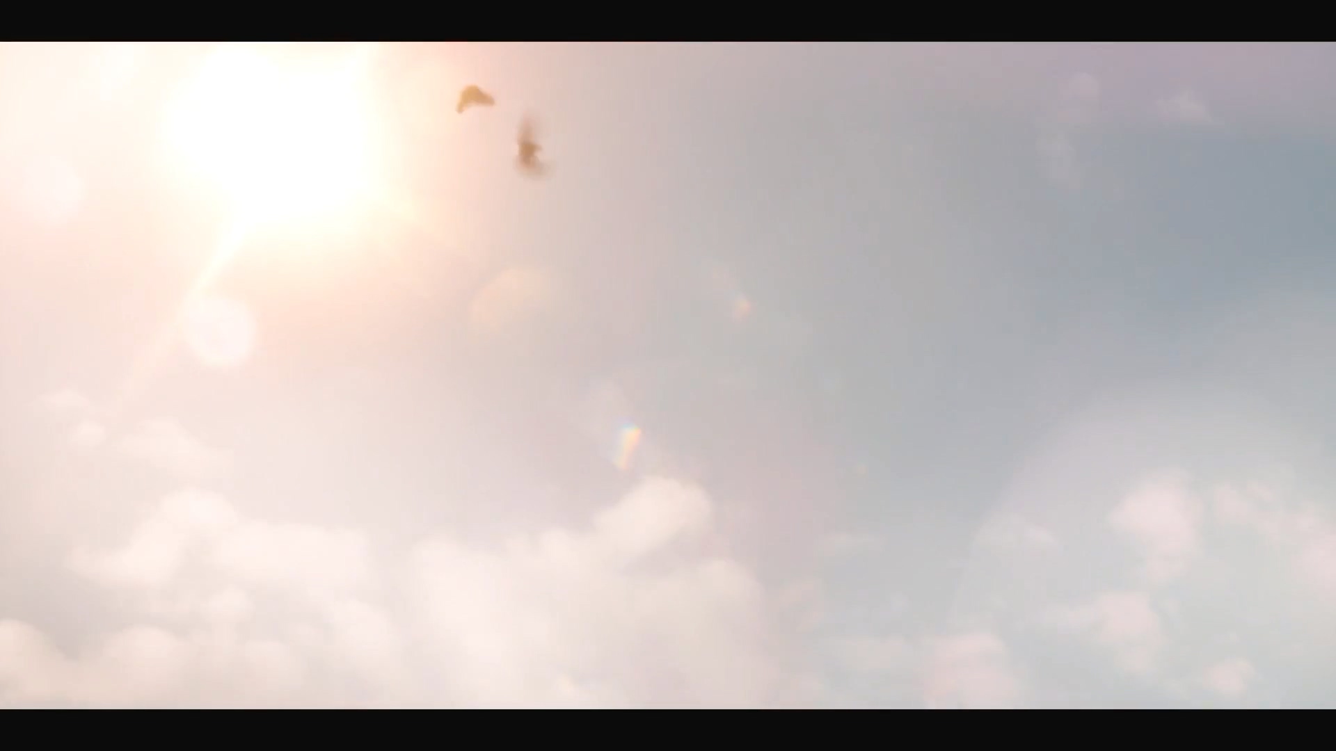 粘在一起的隔离剧照的剧照