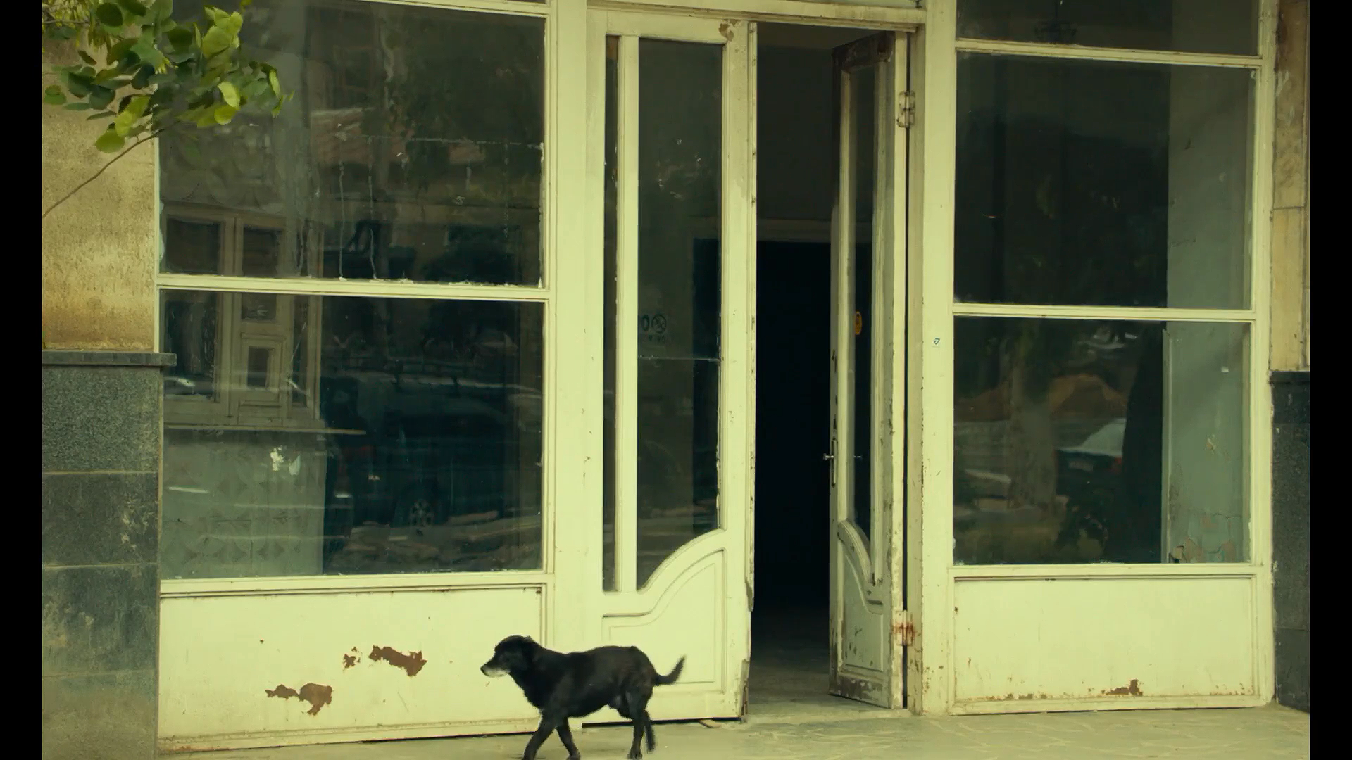 当我们仰望天空时看见什么？剧照的剧照