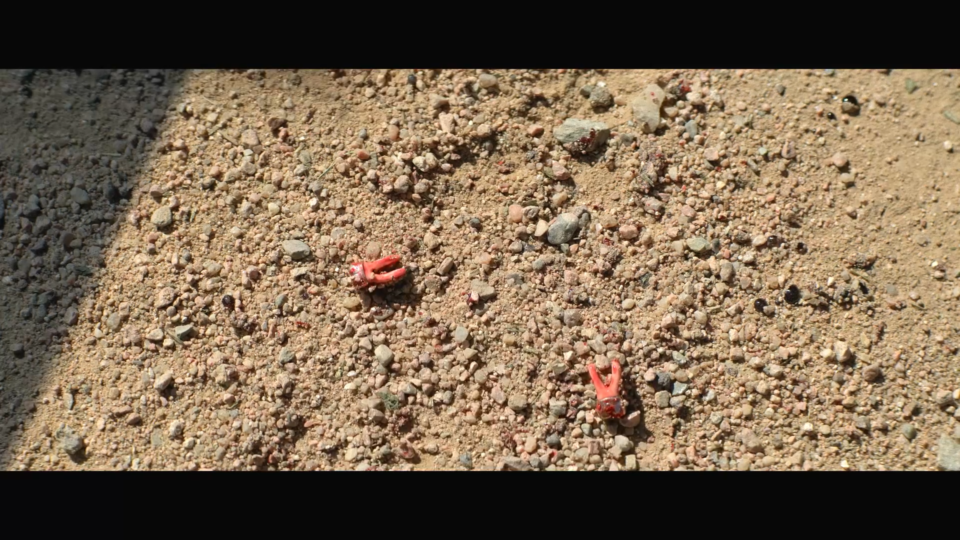 复仇之渊剧照的剧照