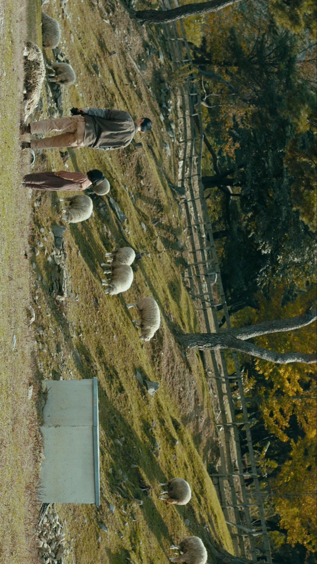 远方剧照的剧照