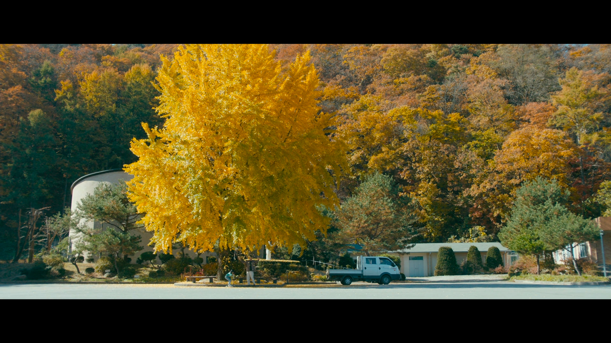 远方剧照的剧照